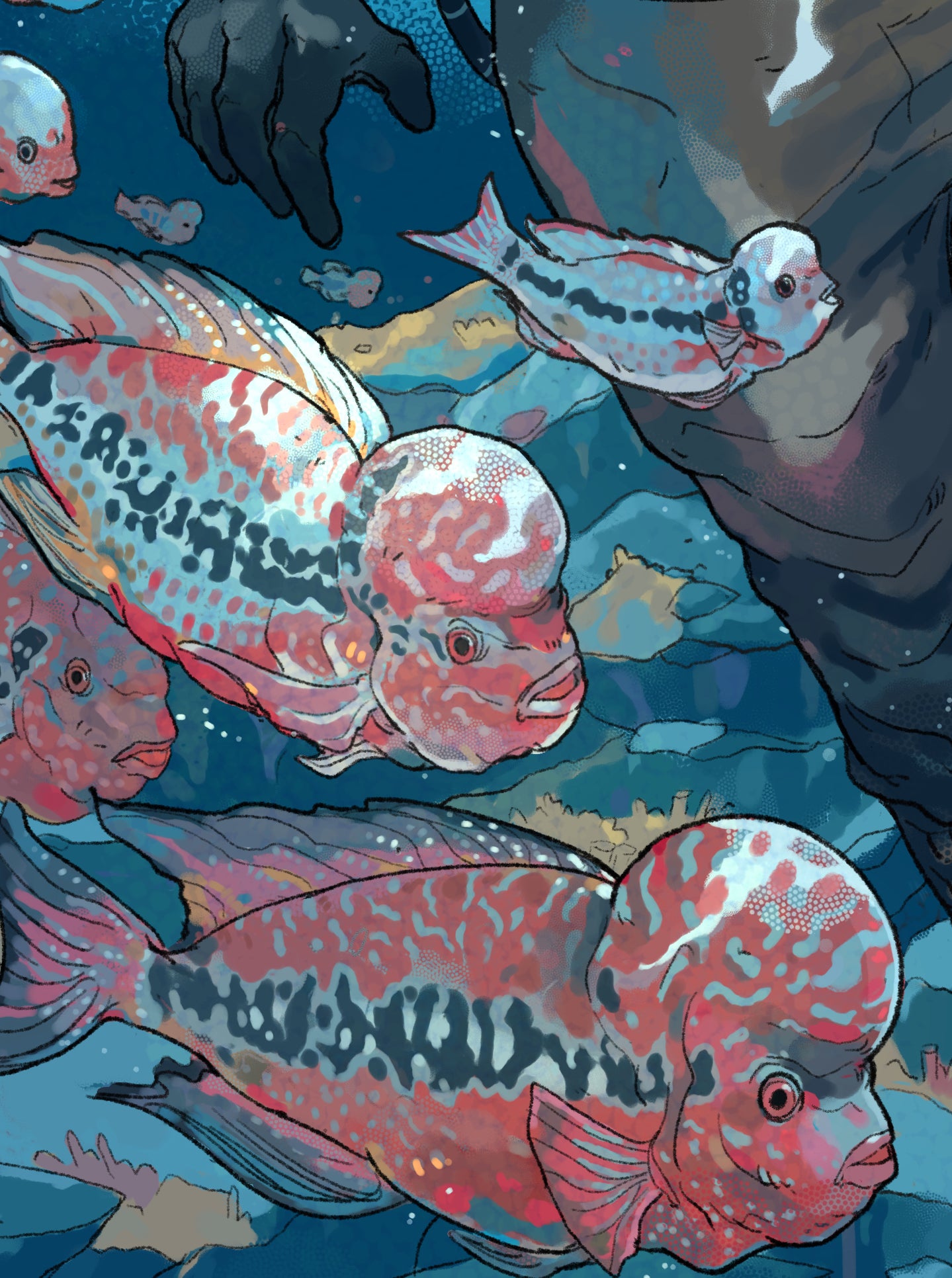 "FLOWERHORN DIVERS" Print