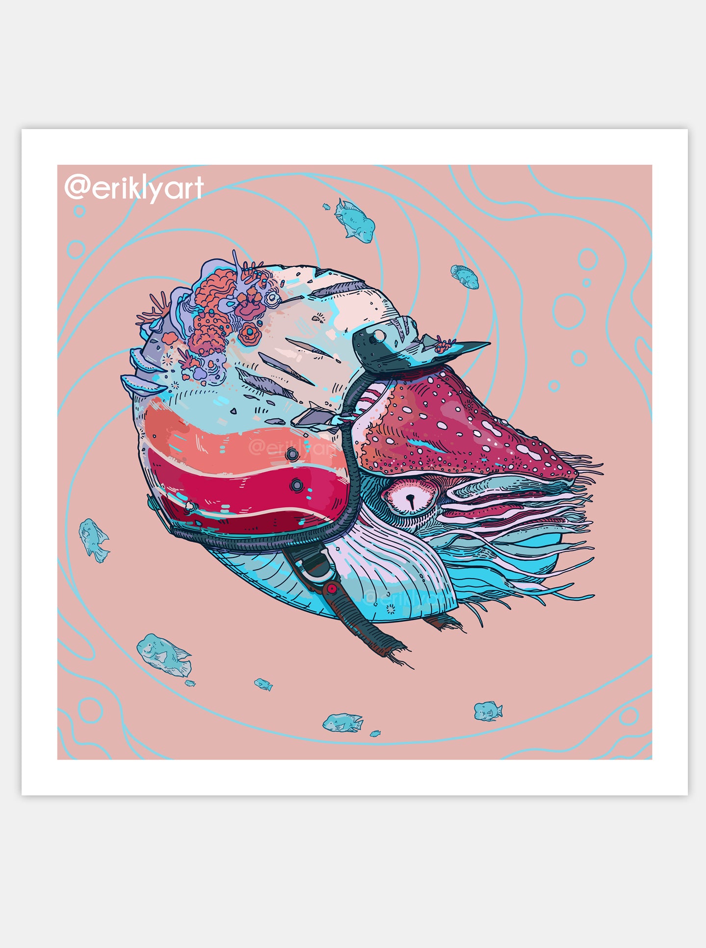 "NAUTILUS DOUBLE SHELL" Print